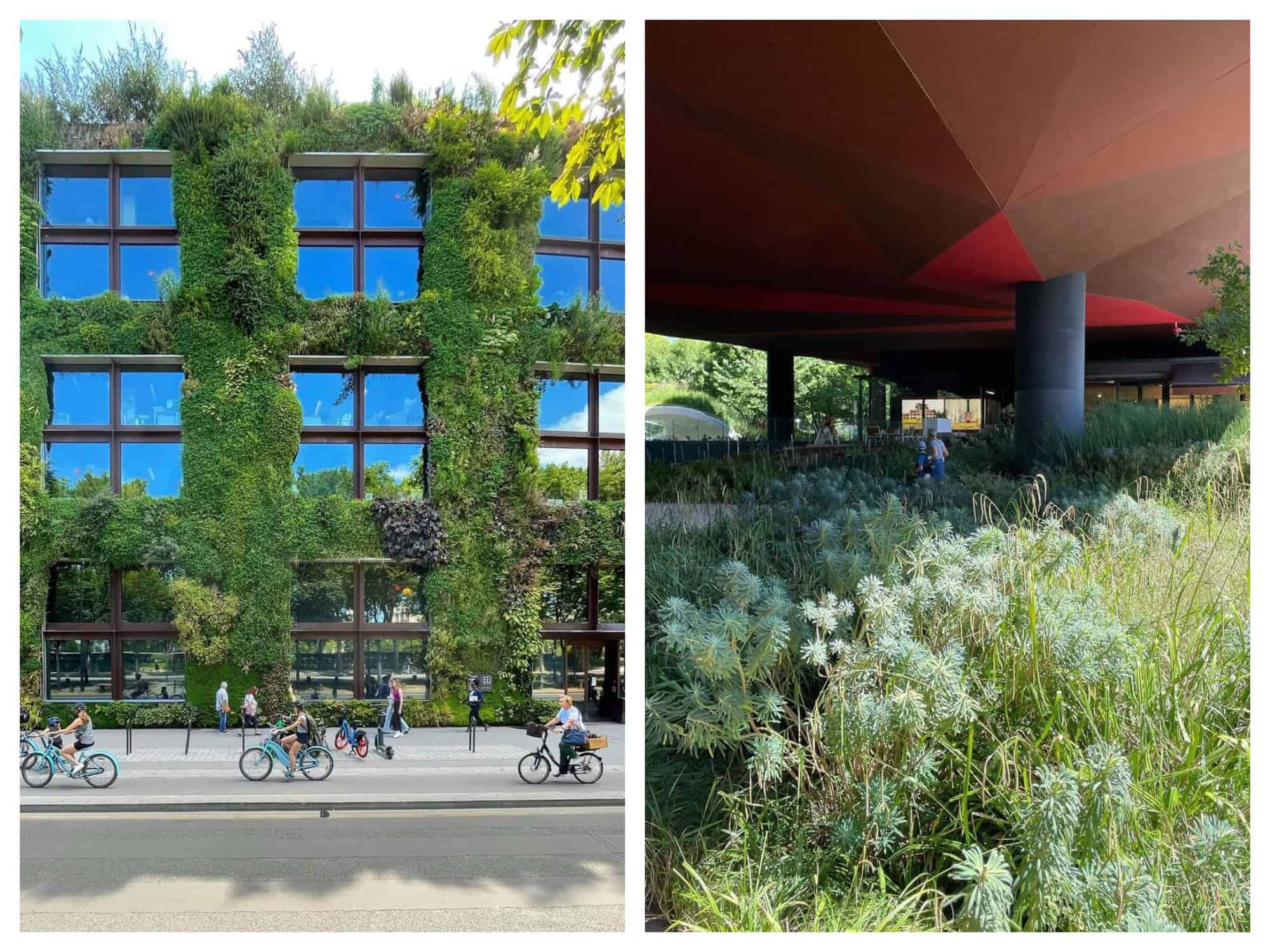 (Left) A building with green bushes attached to the walls and people riding bicycles below. / (Right) A small patch of green shrub underneath a red ceiling. 