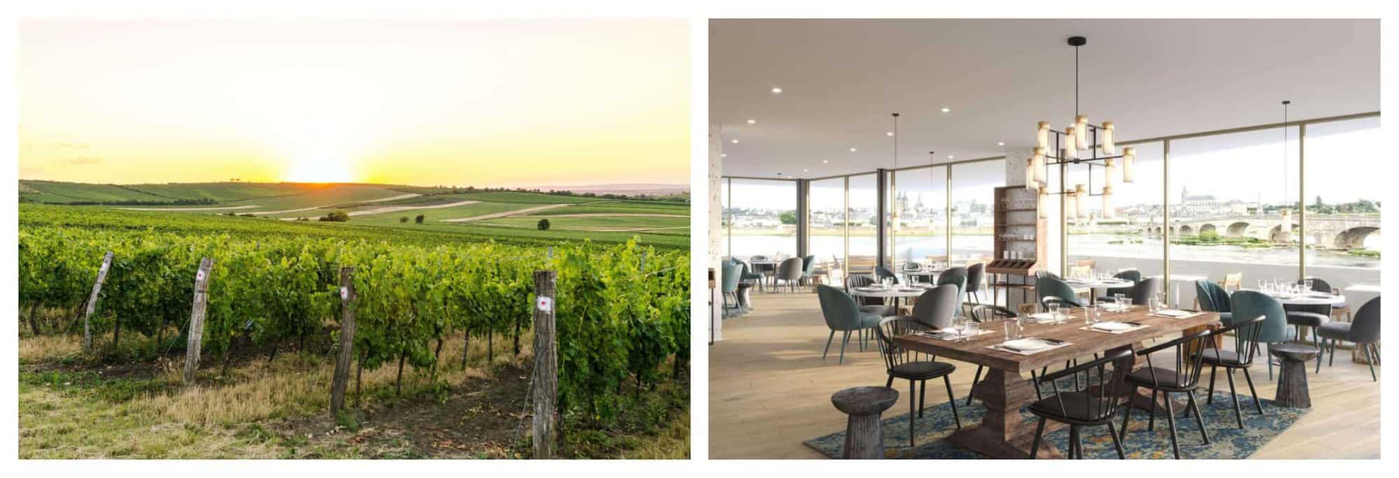 Left: Vineyard is lit up by the sunset. Right: Dining tables and chairs inside Fleur de Loire Bistrot. 