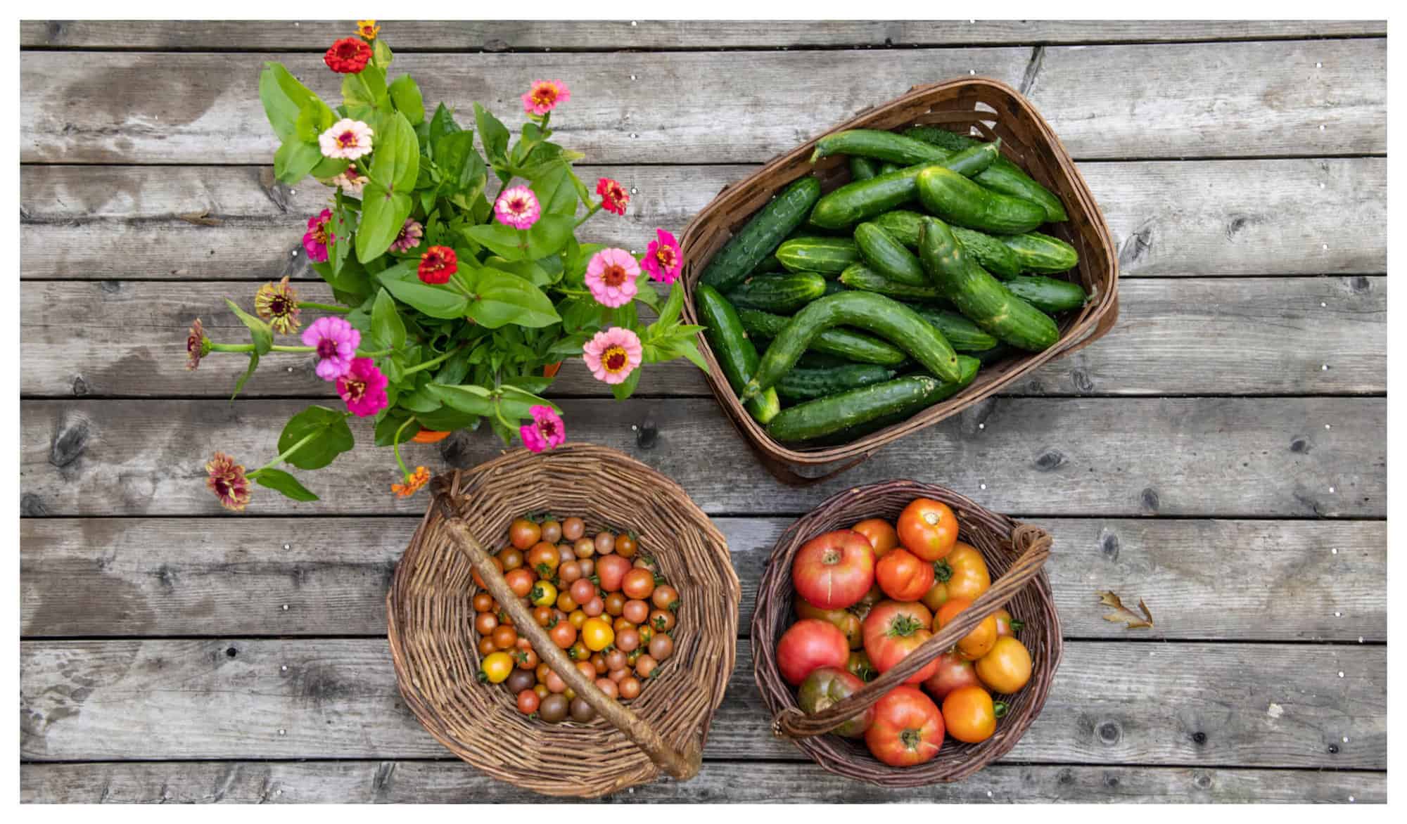 Produce and flowers from the Veggies to Table farm, including 2 wooden baskets of tomatoes, a square basket of cucumbers, and a bouquet of pink flowers sit on a wooden porch. 