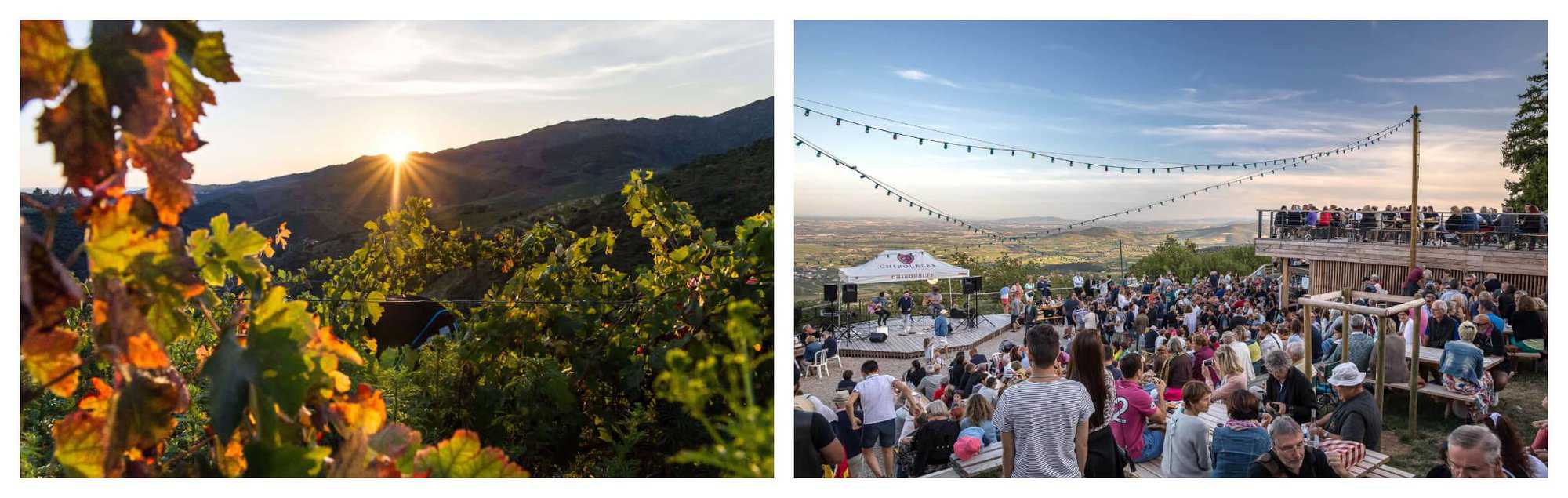 Left: The sun rises from the blue mountains in a vineyard. Right: A crowd is gathered in an arena with a live band.