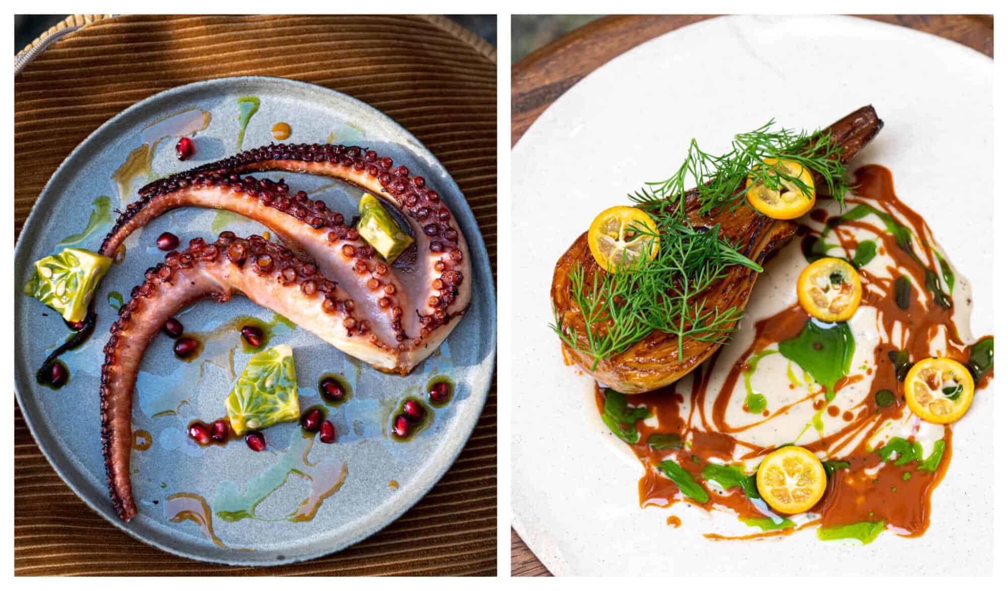 Left: A plate of octopus, garnished with pomegranate, light oil, and some greens, Right: caramelized endives with a garnish of lemons and green and brown sauce artfully drizzled around the plate.