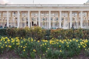 The front of Palais Royale with daffodils in full bloom.