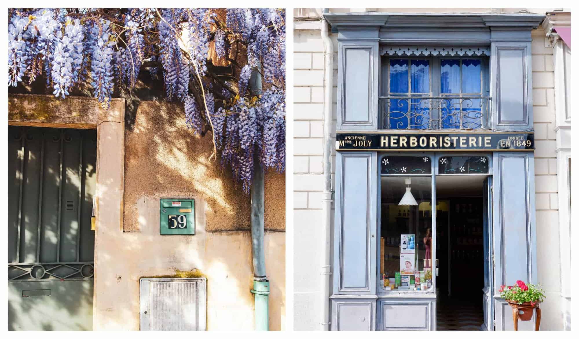 Left: A green door with orange walls adorned with purple wisterias. Right: A shop with blue walls.