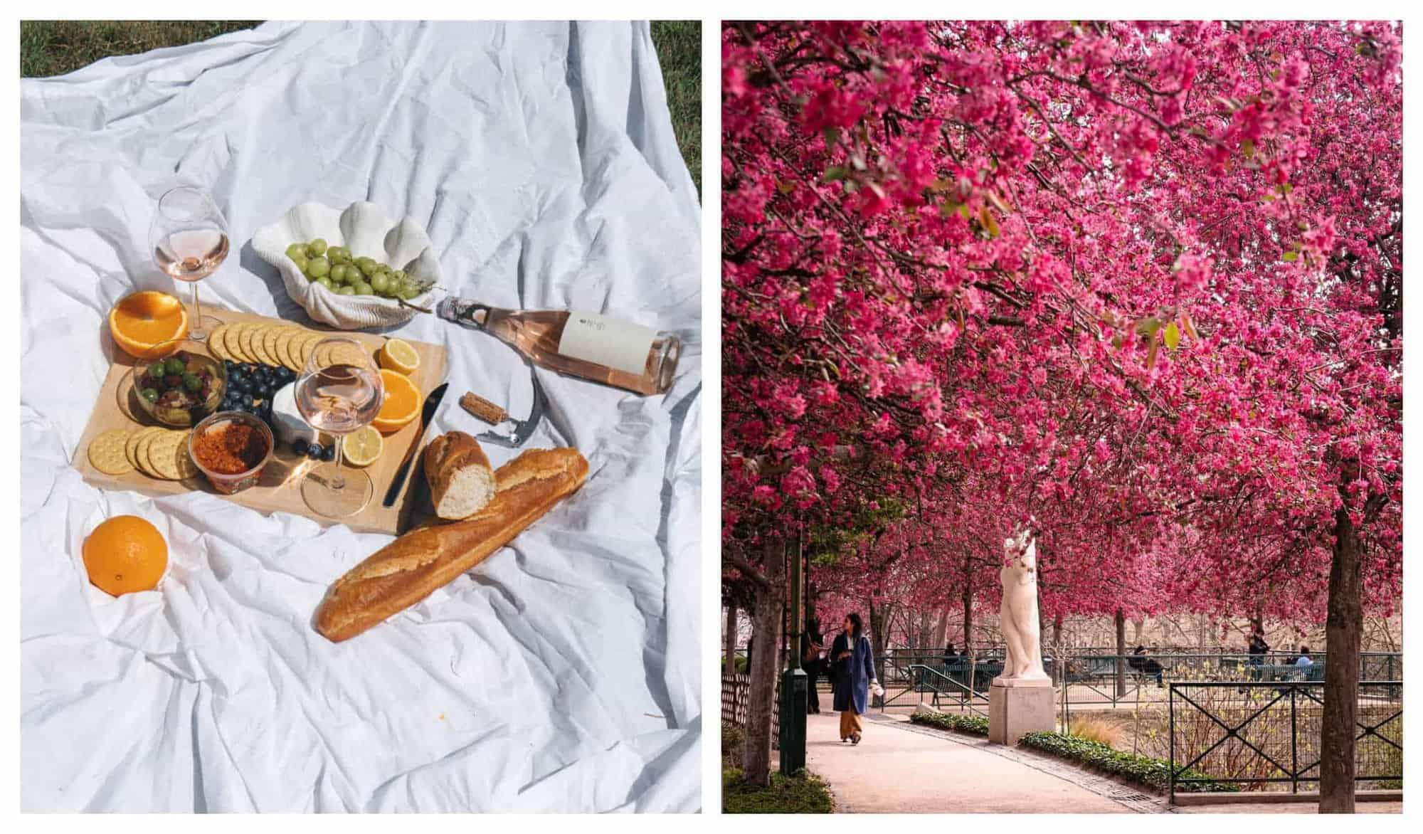 Left: A white picnic blanket with fruits, bread and wine. Right: A park filled with cherry blossom trees in full blloom.