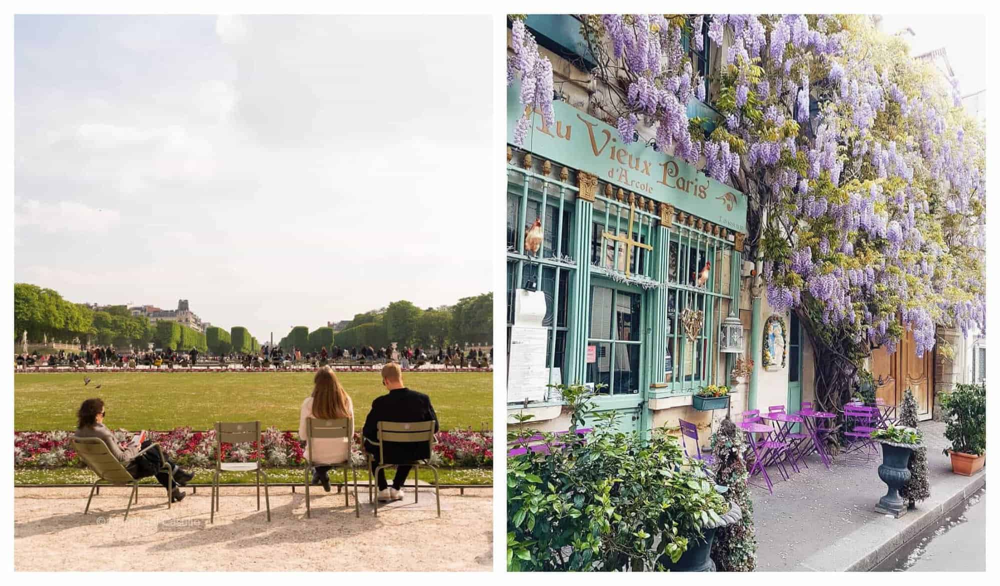 Left: 3 people sitting in green chairs in a park. Right: A shop with blue decors covered in purple wisterias.