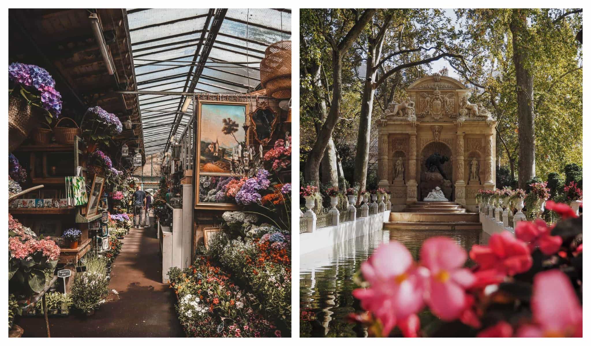 Left: a flower market in Paris's Ile de la cité; right: spring flowers blooming in the Luxembourg Gardens in Paris.