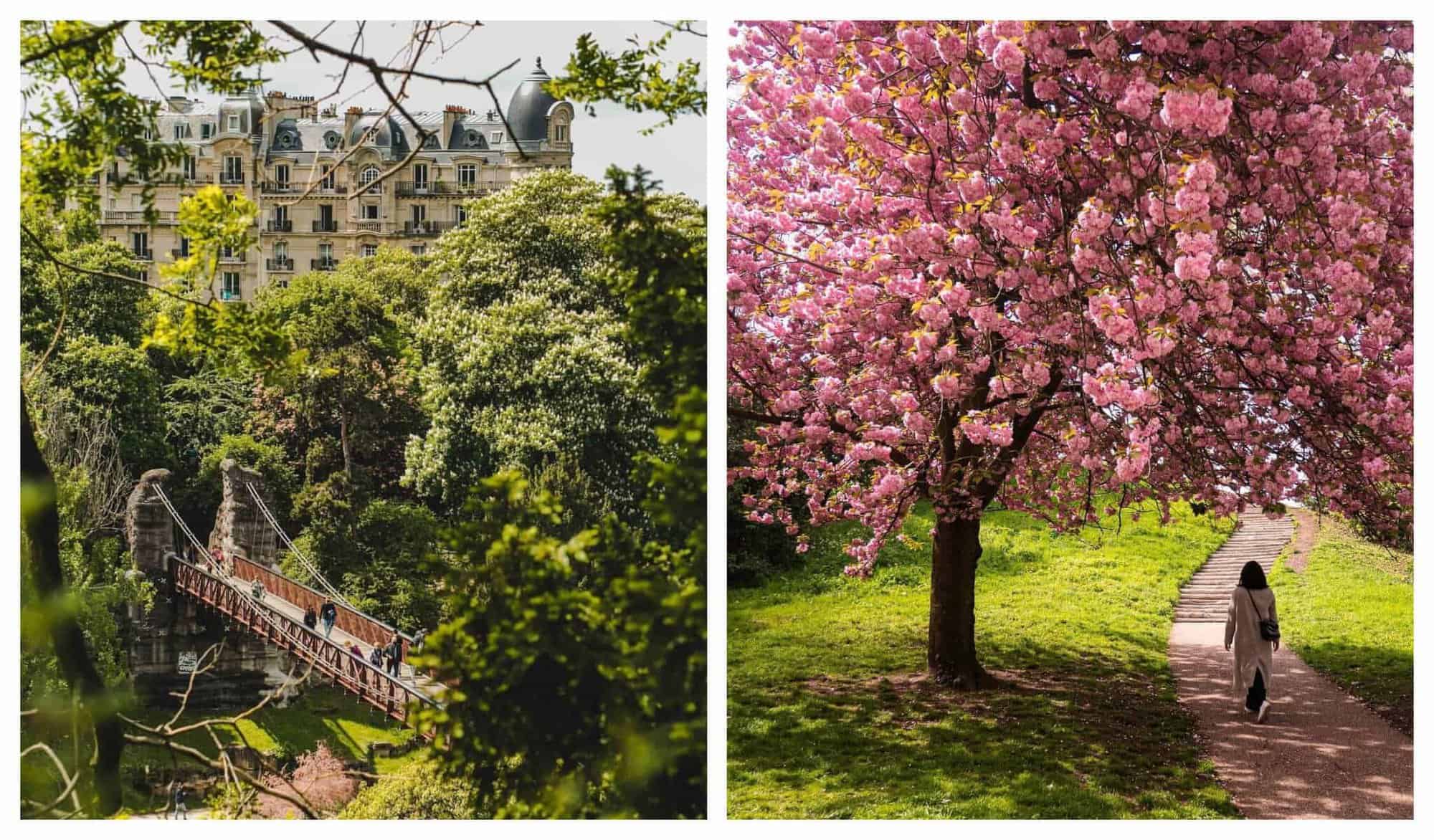 Left: Parc des Buttes-Chaumont's Passerelle Suspendue or suspended bridge is surrounded by a lot of green trees; Right: A woman walks by a pink cherry blossom tree in full bloom on a lovely spring day.