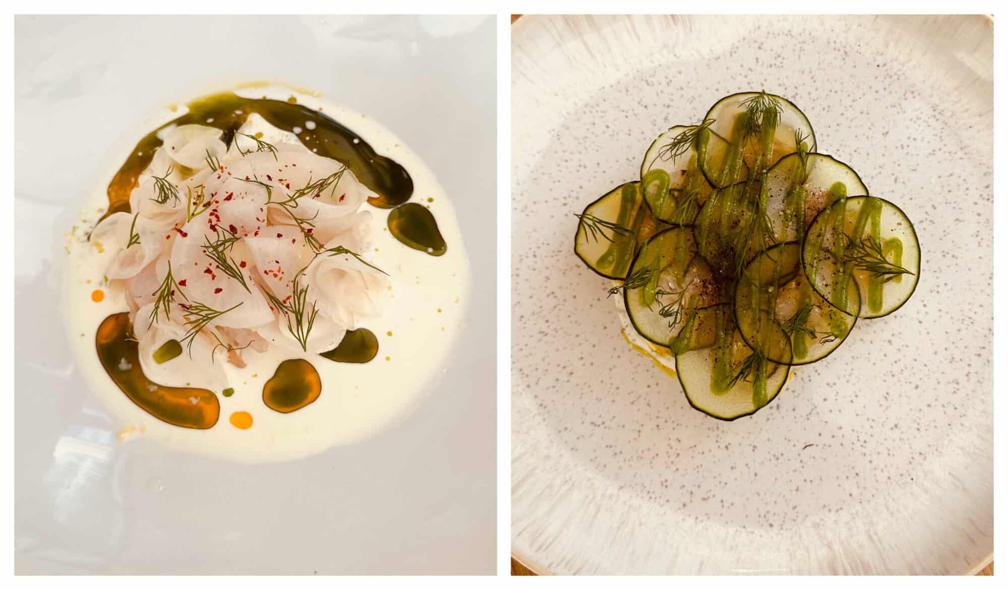 Left: Gravadlax made from a white fish served on a bed of cream and green herbed oil drizzled around; right: a fish appetizer in the shape of a square with thinly sliced cucumbers and dill neatly decorating the top.