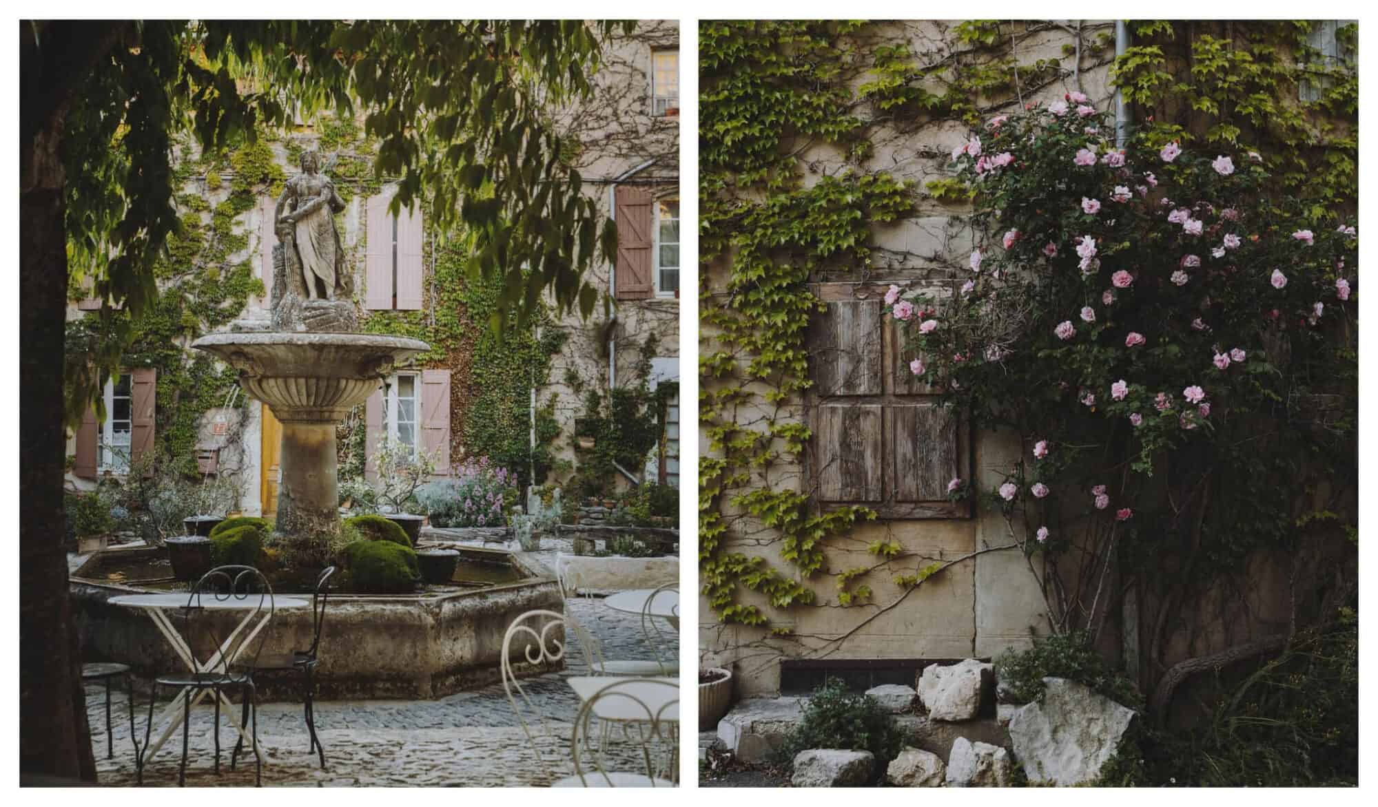 Left: a fountain in Provence, Right: a wall overgrown with leaves and flowers
