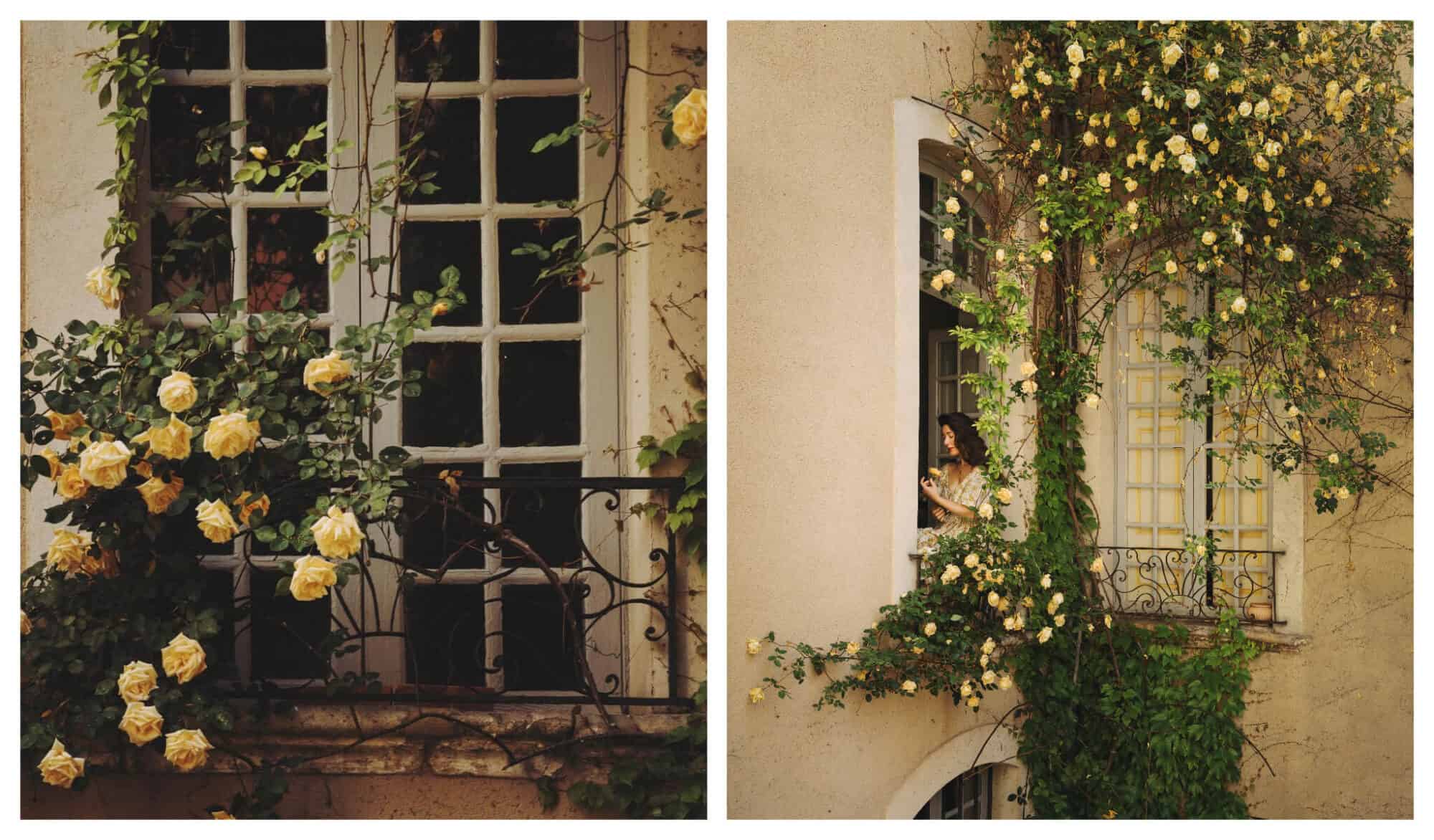Left: a window in Provence with yellow roses growing all over it. Right: Jamie Beck self-portrait, she is seated on a window sill with yellow roses all around her