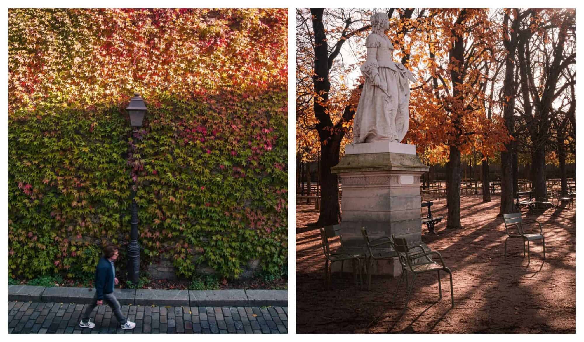 Left: man walking past a wall covered with autumn foliage in Montmartre, Right: a statue surrounded by autumn foliage in Jardin du Luxembourg