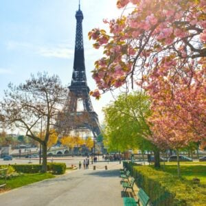 Torre Eiffel em Paris França durante o dia com flores de cerejeira na frente.