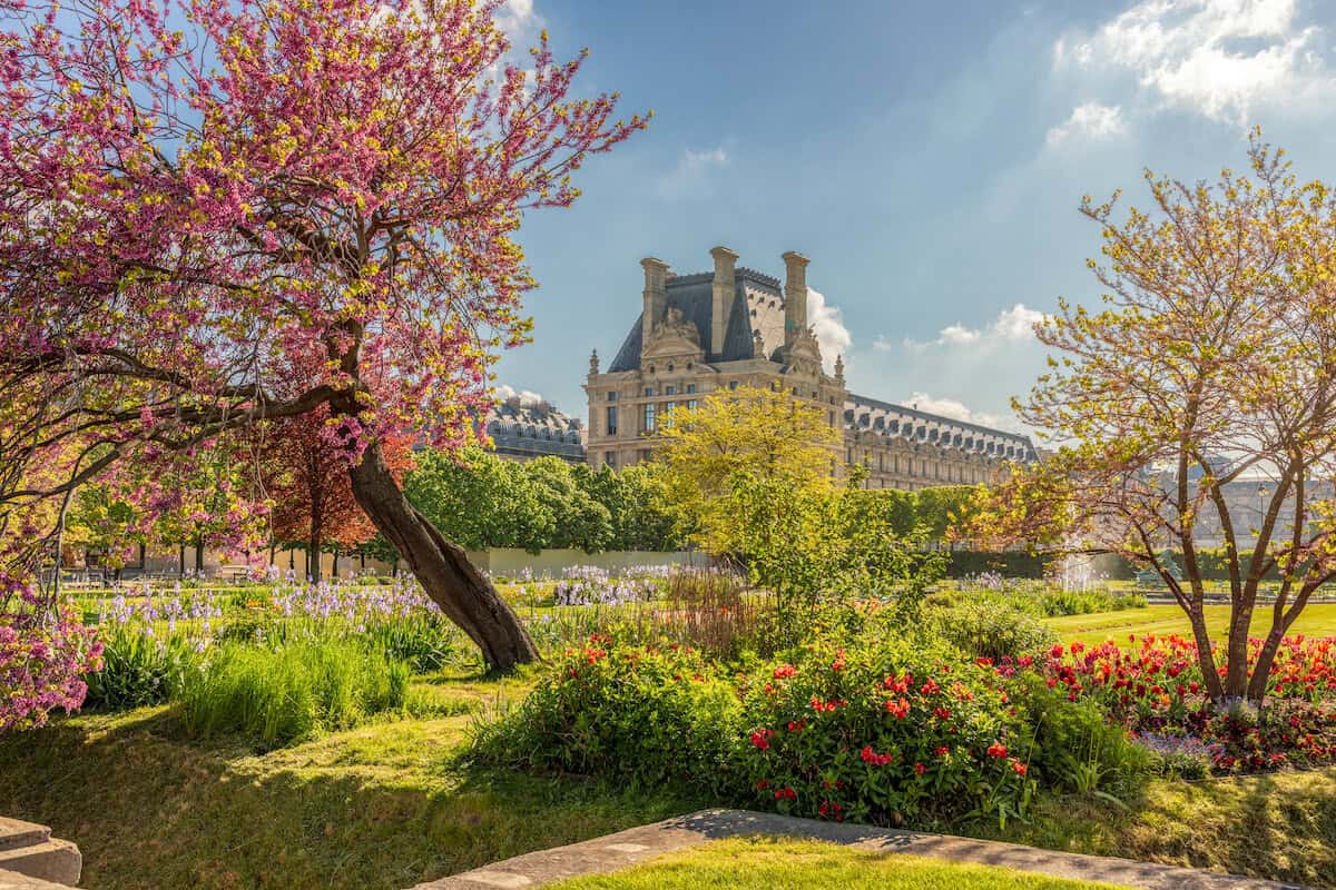 Jardin des tuileries in full bloom on a sunny spring day. 