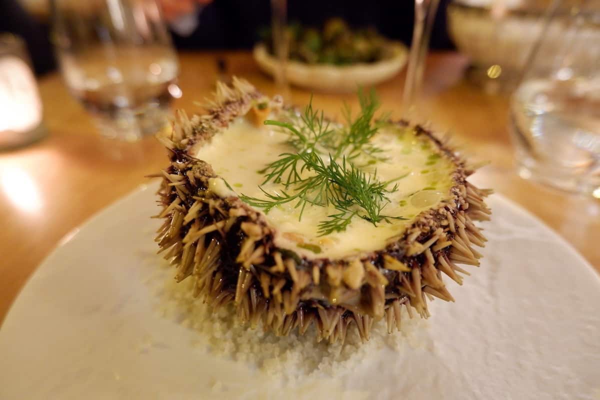 A sea urchin garnished with dill on a white plate from Le Boreal restaurant in Paris.