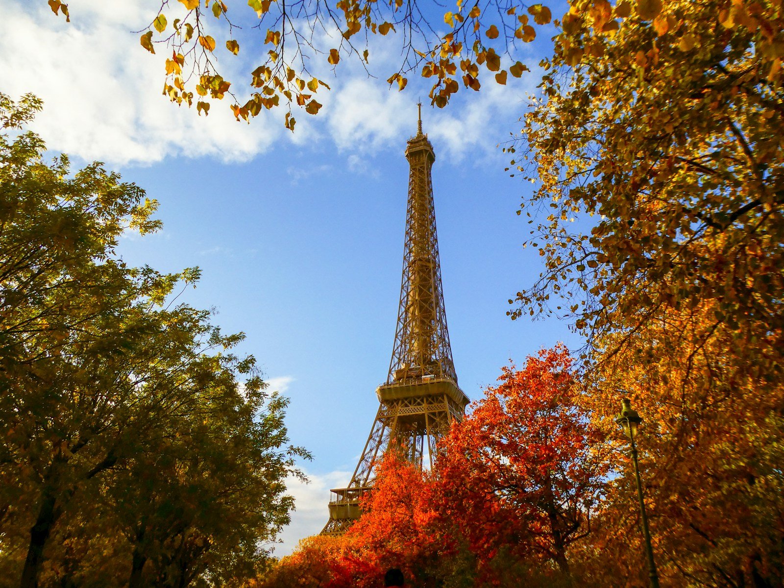 The Eiffel Tower in Autumn.