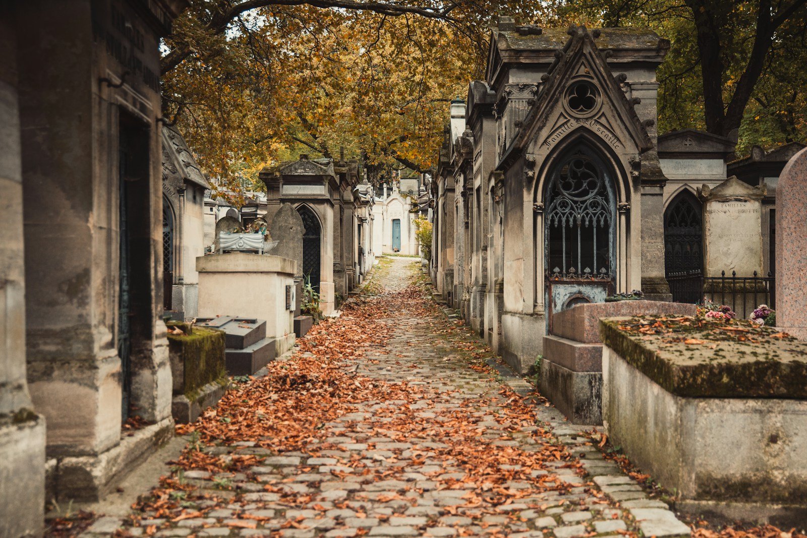 an old cemetery with leaves on the ground in Paris.