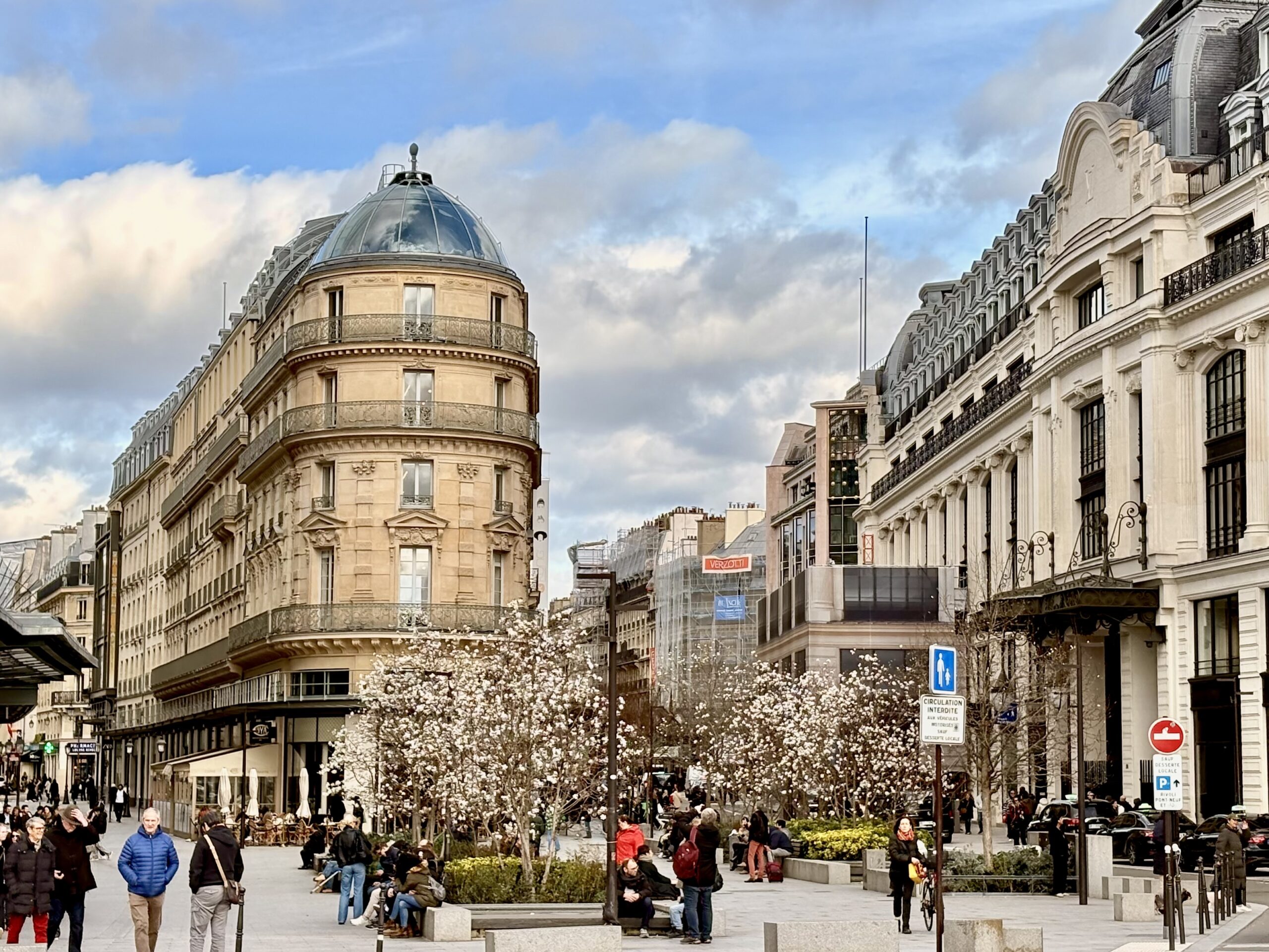 Blossoming trees in front of rounded Haussmann building near Chatelet, Paris.