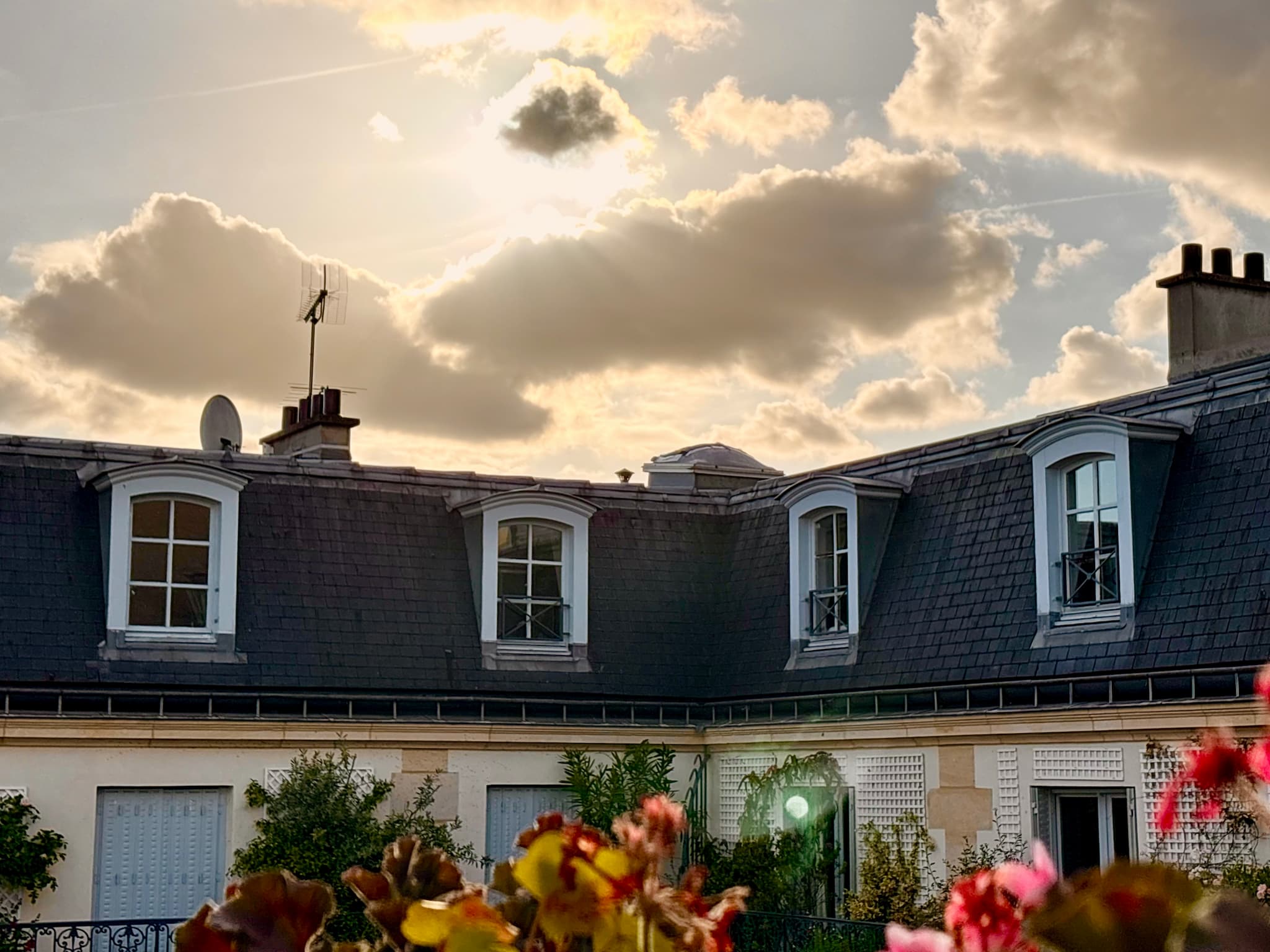 Sunset and Parisian rooftop view from a balcony with colourful flowers